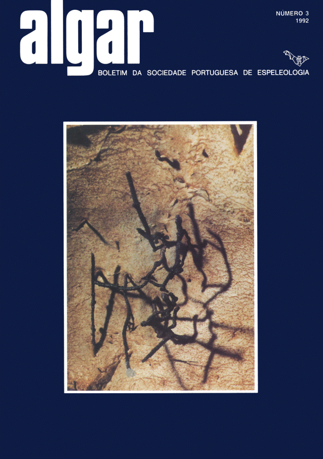 Algar 3 - Capa de revista Algar 3 - Capa de revista