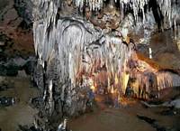El Bosque, na gruta de El Soplao. Foto elsoplao.es El Bosque, na gruta de El Soplao. Foto elsoplao.es