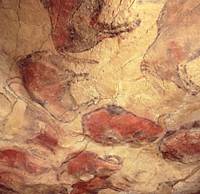 Bisontes, gruta de Altamira. Foto Wikipedia. Bisontes, gruta de Altamira. Foto Wikipedia.