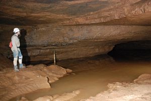 Rickard Toomey perto do Echo River, Mammoth Cave @ JACrispim-CeGUL-SPE, 2009 Rickard Toomey perto do Echo River, Mammoth Cave @ JACrispim-CeGUL-SPE, 2009