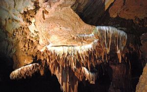 Dois discos de calcite nas Grand Caverns, Virginia @ JACrispim-CeGUL-SPE, 2009 Dois discos de calcite nas Grand Caverns, Virginia @ JACrispim-CeGUL-SPE, 2009