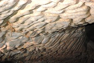 Tecto de anastomoses nas Endless Caverns, Virginia @ JACrispim-CeGUL-SPE, 2009 Tecto de anastomoses nas Endless Caverns, Virginia @ JACrispim-CeGUL-SPE, 2009