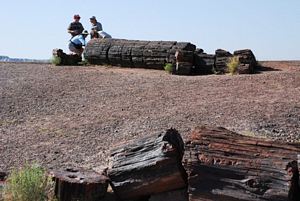 Alguns elementos do grupo observando dois troncos petrificados @JACrispim - CeGUL- SPE, 2009 Alguns elementos do grupo observando dois troncos petrificados @JACrispim - CeGUL- SPE, 2009