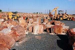 Parque de blocos da Petrified Wood Company @JACrispim - CeGUL- SPE, 2009 Parque de blocos da Petrified Wood Company @JACrispim - CeGUL- SPE, 2009