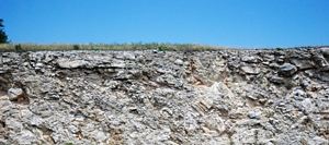 Estruturas colapsadas na sequência estratigráfica do Edwards Limestone @ JACrispim - CeGUL - SPE, 2009 Estruturas colapsadas na sequência estratigráfica do Edwards Limestone @ JACrispim - CeGUL - SPE, 2009