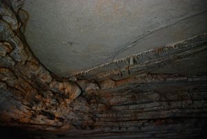 Tecto plano, Blanchard Springs Caverns @ JACrispim CeGUL-SPE, 2009 Tecto plano, Blanchard Springs Caverns @ JACrispim CeGUL-SPE, 2009