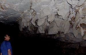 Anastomoses, Blanchard Springs Caverns @ Pilar Vicente-SPE, 2009 Anastomoses, Blanchard Springs Caverns @ Pilar Vicente-SPE, 2009