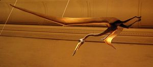 Maquete de Pterosaurus, Smithsonian Museum @ JACrispim.CeGUL-SPE, 2009 Maquete de Pterosaurus, Smithsonian Museum @ JACrispim.CeGUL-SPE, 2009