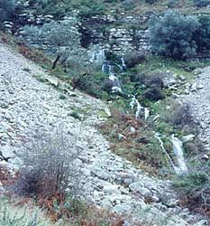 sc5aw.jpg (22295 bytes)