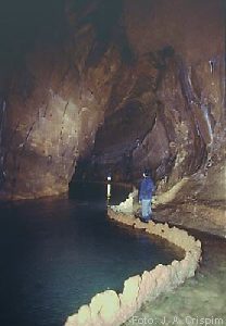 AIREchei61tz.jpg (12270 bytes)