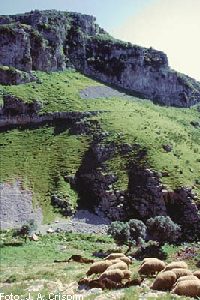 AIREerei9tz.jpg (22645 bytes)