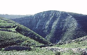 AIREribfor29tz.jpg (22515 bytes)