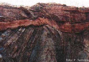Aldiscord.jpg (22965 bytes)