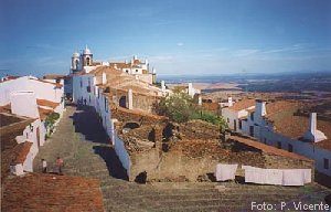 Almonsaraztz.jpg (16238 bytes)