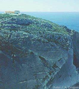 Alrast8.jpg (21295 bytes)