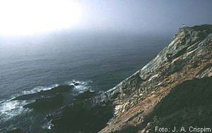 SINTRAdraga12a.jpg (11943 bytes)
