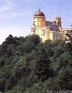 SINTRPalpenaa.jpg (22436 bytes)